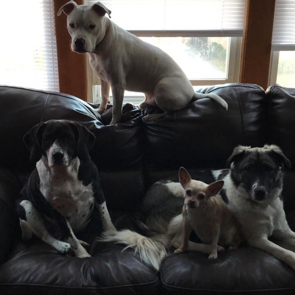 Meet your Posher, Cathy